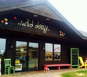 The Wild Daisy - Pequot Lakes, Minnesota